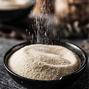 Ready to Ship Best Quality Good Price Well Known Brand Granule Gelatin for Food Additive gelatin